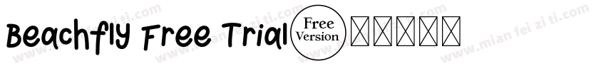 Beachfly Free Trial字体转换